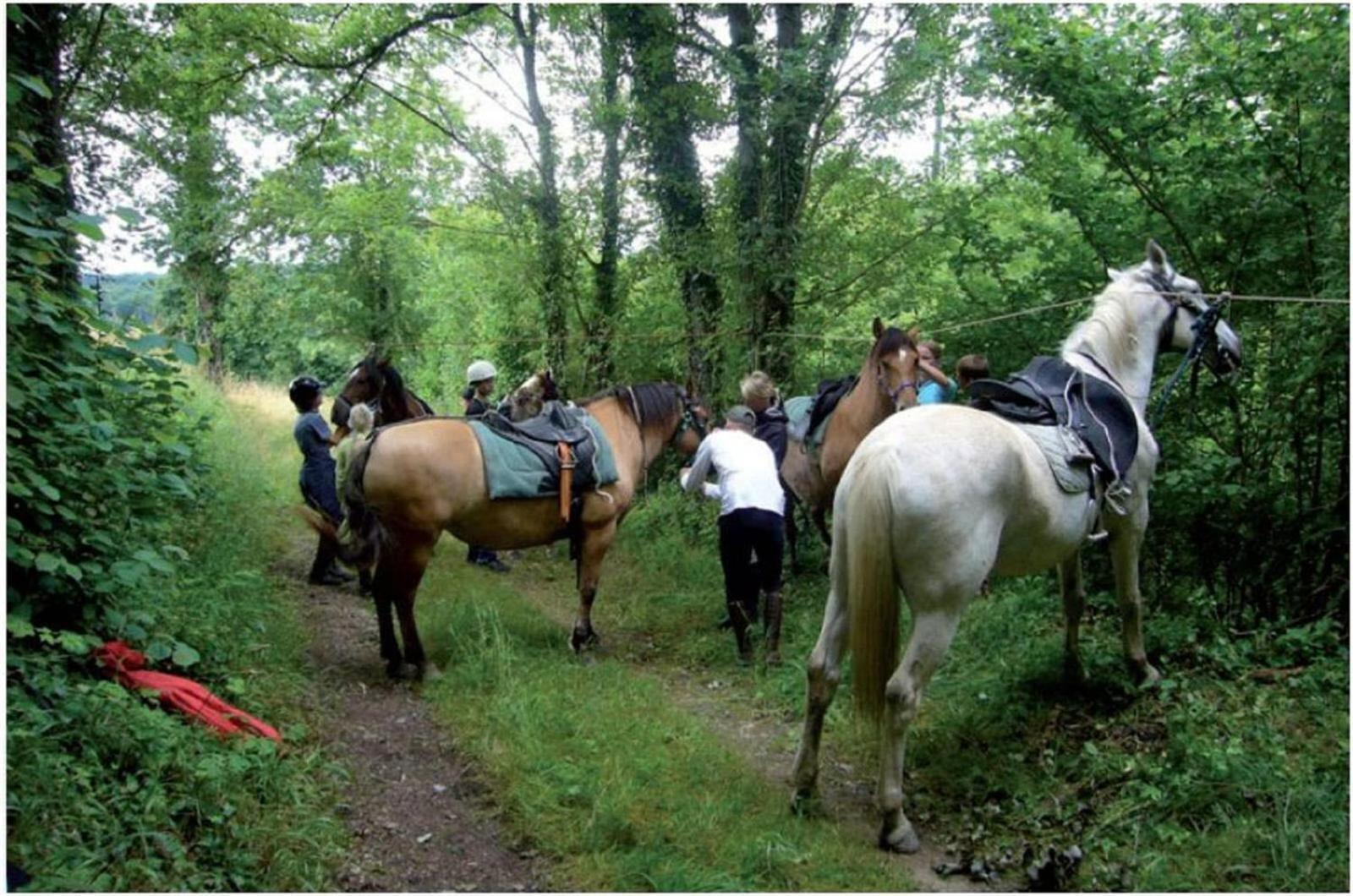 La Mancine Laulan Bed & Breakfast Jau-Dignac-et-Loirac Dış mekan fotoğraf